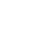 Partner politie